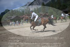 ref. photo 3254181