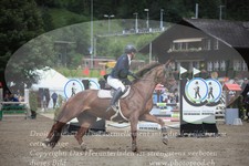 ref. photo 3254235