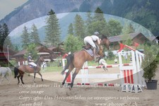 ref. photo 3254259