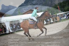 ref. photo 3254277