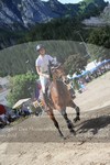 ref. photo 3254304