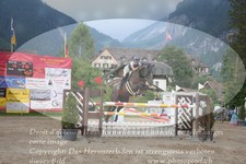 ref. photo 3254324