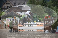 ref. photo 3254327