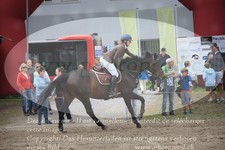 ref. photo 3254421