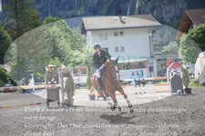ref. photo 3254468