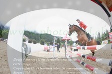 ref. photo 3254512