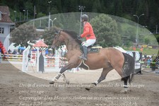 ref. photo 3254518