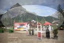ref. photo 3254580