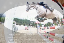 ref. photo 3254637
