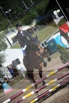 ref. photo 3254685
