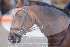 ref. photo 3254707