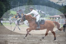 ref. photo 3254746