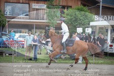 ref. photo 3254748