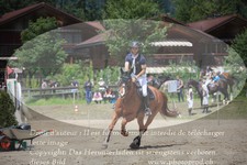 ref. photo 3254820