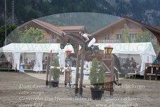 ref. photo 3254882