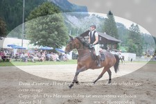 ref. photo 3254890