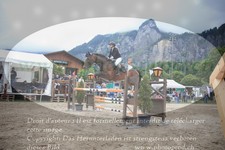 ref. photo 3254901