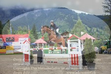 ref. photo 3254934