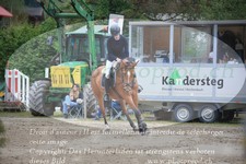 ref. photo 3254938