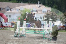 ref. photo 3254978