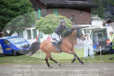 ref. photo 3255016