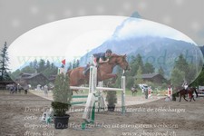 ref. photo 3255034