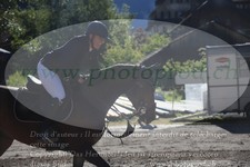 ref. photo 3255108
