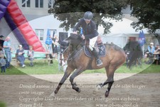 ref. photo 3255124