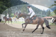 ref. photo 3255132