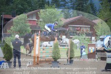ref. photo 3255160