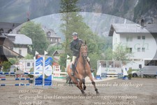 ref. photo 3255180