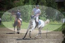 ref. photo 3255226
