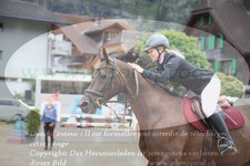 ref. photo 3255256