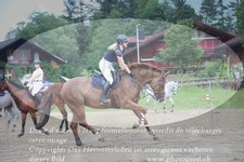 ref. photo 3255275