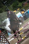 ref. photo 3255488
