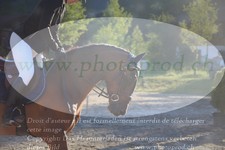 ref. photo 3255501