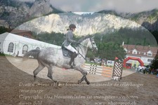 ref. photo 3255510