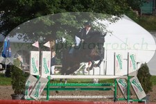 ref. photo 3255546