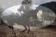 ref. photo 3255548