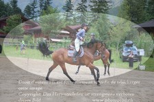 ref. photo 3255656