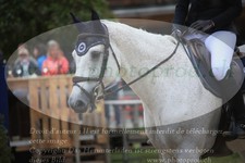 ref. photo 3255755