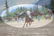 ref. photo 3255834