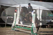 ref. photo 3255968