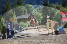 ref. photo 3256059
