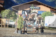 ref. photo 3256077
