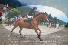 ref. photo 3256127