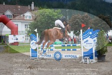ref. photo 3256128