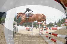 ref. photo 3256136