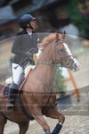 ref. photo 3256141