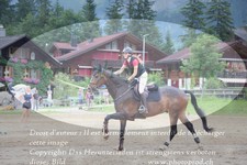 ref. photo 3256209